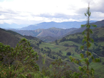 Road from Loja to Tapichalaca near Vilcabamba